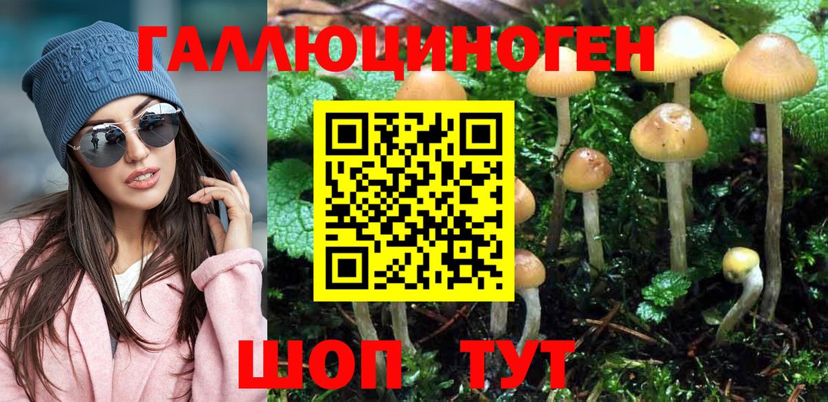 Псилоцибиновые грибы ЛСД  Псилоцибиновые грибы MAGIC MUSHROOMS  Вход с VPN  Балашиха 